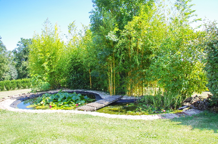 A well stocked fish pond